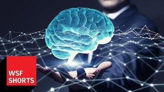 What is the Definition of Intelligence? | World Science Festival