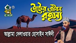 উটের জীবন রহস্য । সাঈদী । Uter Jibon Rohosso । Allama Sayedee । Olpo Kothay Onek Jana । CHP