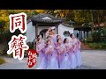 同挽杏花簪❀共赏云舒卷《同簪》中国风爵士编舞完整版