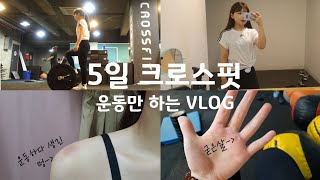 운동 VLOG#08 크로스핏에 푹 빠진 크린이 | 크로스핏 초보 | 운동하는 여자 | 다이어트 브이로그 | 파워클린하다 멍 생겼어요ㅠ_ㅠ!