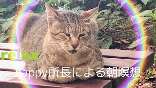 【htl】happy所長による15分朝瞑想