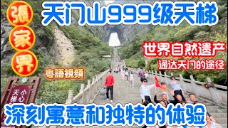 张家界天门山国家森林公园上天梯，位于山洞前广场和天门洞之间，999 步上下的石头供游客走，作为通达天门的途径，有着深刻的寓意和独特的游览体验！👍🏻👍🏻👍🏻。#張家界旅遊攻略