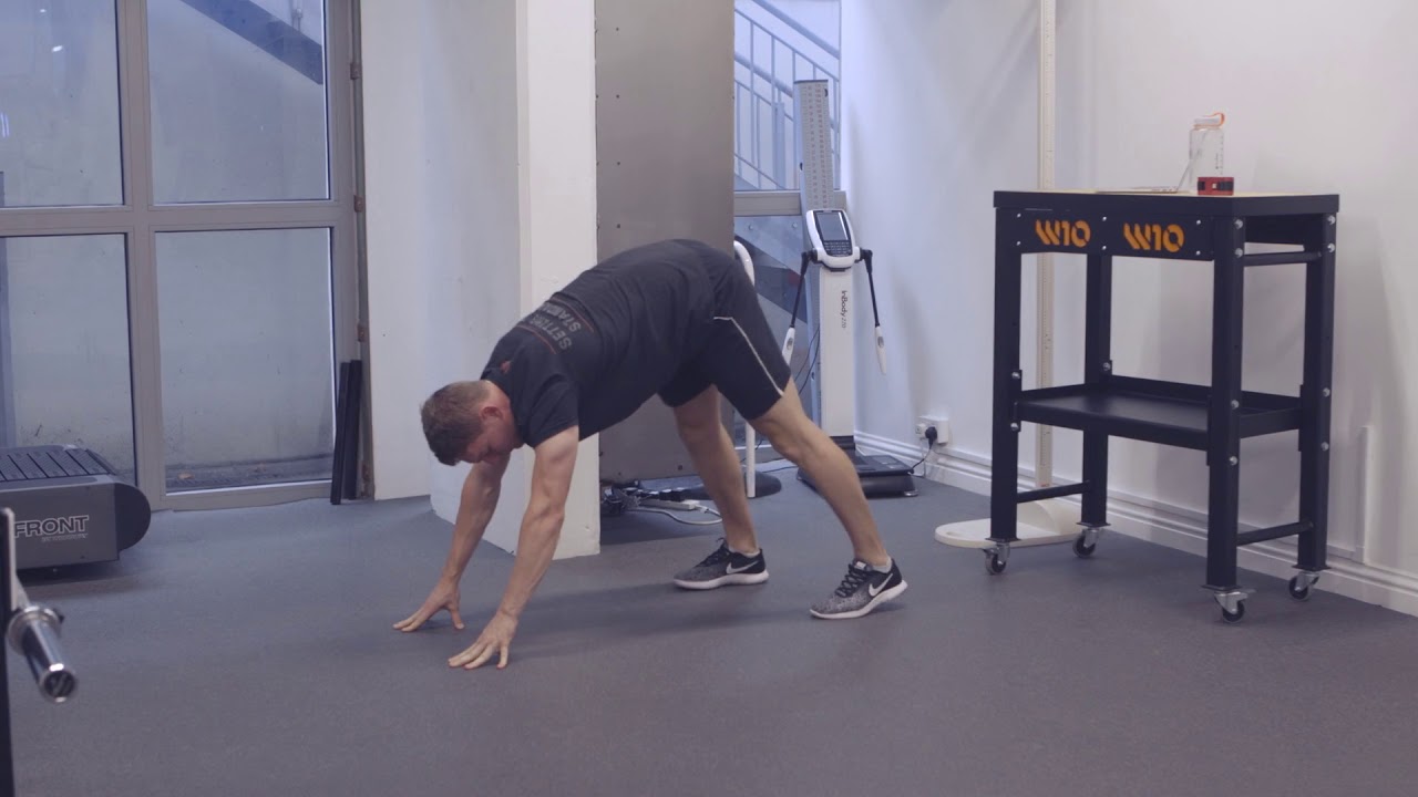 Worm Walk Exercise Sealmech