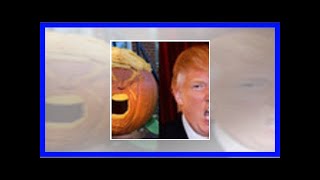 Trumpkins: trump-inspired pumpkins go viral for halloween