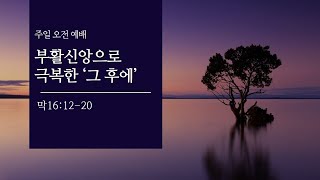 [면류관교회] 2022.4.17. 주일 예배 설교 | 이원석목사