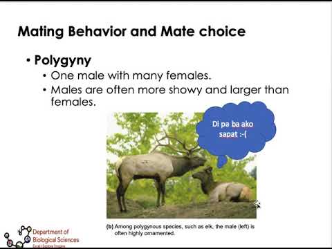 Behavioral Ecology Part 2 - YouTube