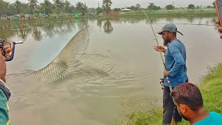 Amazing fishing video big Rohu fish hunting by hook / Traditional fishing video in village #fishing