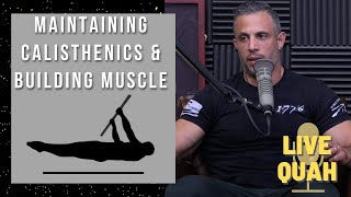 Maintain Gymnastic & Calisthenic Abilities While Building Muscle