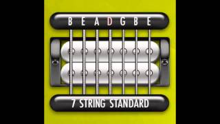 Perfect Guitar Tuner (7 String Standard = B E A D G B E)