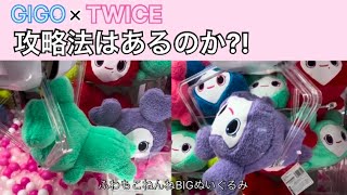 【クレーンゲーム】GIGO × TWICE 攻略法はあるのか?!  ふわもこねんねBIGぬいぐるみリベンジ編