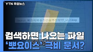 [팩트와이] 검색하면 나오는 파일...'뽀요이스' 극비 문서？ / YTN