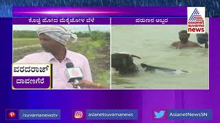 Davanagere; Incessant Rains Cause Extensive Damage to Farmers