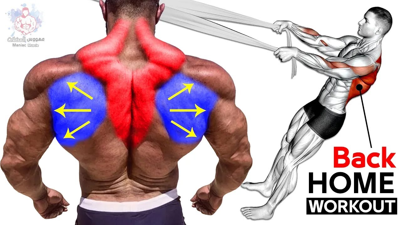 Full Back Workout At Home No Equipment Bodyweight Back Exercises