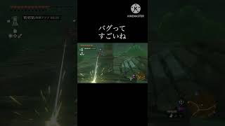 #ショート #ティアキンバグ技　#ゼルダの伝説 #ゼルダの伝説ティアーズオブザキングダム #ティアキン