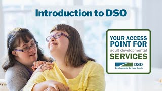 Introduction to DSO