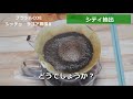 コーヒーvlog　ブラジル　シッチョ・ラゴア農園Ⅱ　coe2019