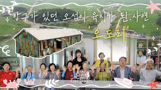 [#2024우리마을이야기 5화] 항구 어촌 오섬 마을이었던 / 송산면 오도리