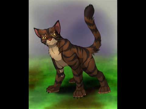 Tigerclaw When You Re Evil Youtube