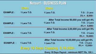 NETSURF - BUSINESS PLAN