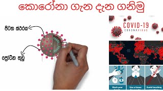 කොරෝනා ගැන දැන ගනිමු- Coronavirus(Covid19)