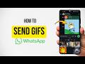 How to send gifs on WhatsApp (Quick & Easy)