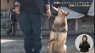 災害救助犬～1人でも多くの命を救うために＊チャンネル登録お願いします！！(^o^)／