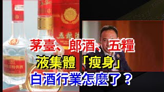 茅臺、郎酒、五糧液集體“瘦身”，白酒行業怎麼了？