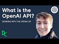 What is the OpenAI API?