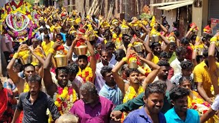 ஆலங்குளம்  ஸ்ரீ பத்திரகாளி கோவில் கொடைவிழாவில் பிரம்மாண்ட பால்குடம் ஊர்வலம்