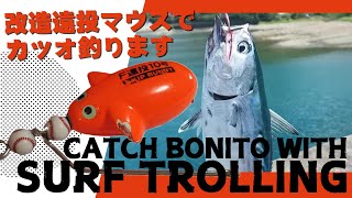 改造遠投マウスでカツオ釣ります！