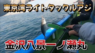 一ノ瀬丸　東京湾金沢八景沖ライトタックルアジ