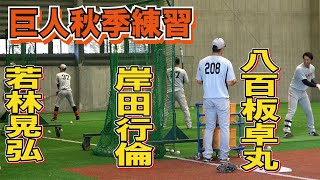 室内打撃練習　 　37若林晃弘　27岸田行倫 　51八百板卓丸　【巨人秋季練習2022年】読売ジャイアンツ　プロ野球ニュース