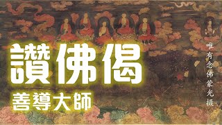 🌸#佛曲 欣賞🎼  |【讚佛偈】#善導大師。#彌陀身色如金山，相好光明照十方✨。唯有念佛蒙光攝，當知本願最為強。六方如來舒舌証，專稱名號至西方。到彼華開聞妙法，十地願行自然彰。