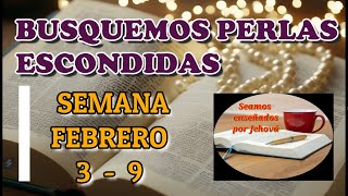 Busquemos perlas escondidas. Semana Febrero 3 -9