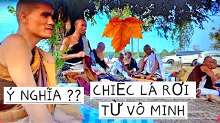 THẦY MINH TUỆ TRẢ LỜI CHIẾC LÁ RƠI TỪ VÔ MINH , Ý NGHĨA LÀ GÌ ??