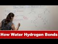 How Water Forms Hydrogen Bonds