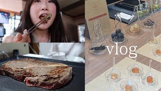 여행vlog | 강원도홍천 1박2일여행 | 위장 꽉 채워 왔습니다. 홍천 메밀막국수. 홍천한우( feat. 한우1kg ). 카페무궁화. 맥켈란 하모니 컬렉션 리치카카오.