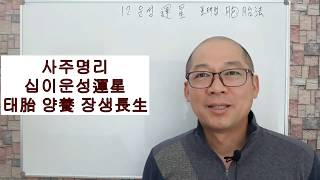 사주명리 십이운성運星(3) 태胎 양養 생生