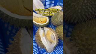 🇲🇾JB durian buffet from rm30! 新山30起的榴莲自助！📍Yi Foon Trading #Durian #durianbuffet #新山 #榴莲自助 #food