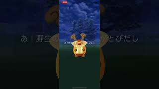 コロボーシの色違い出現シーン（Pokémon GO）