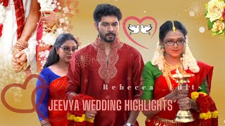 Life of Jeevya - Part 1 | REBECCA EDITS