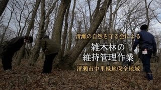 雑木林の維持管理作業 2013年1月と2月 清瀬市中里緑地保全地域 Panasonic Lumix GH2