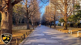 【4K HDR】練馬春日町 光が丘公園 東京散歩 2025.1 Nerima Kasugacho Hikarigaoka Park Tokyo Walk