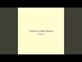 Tranquil Lullaby Breeze