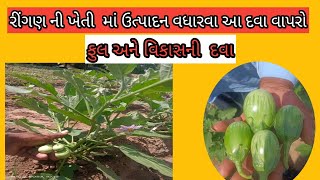 રીંગણ ની ખેતી માં ઉત્પાદન વધારવા આ દવા વાપરો || 7777914480 || #રીંગણી #ડાંગર #jayparivartanindia