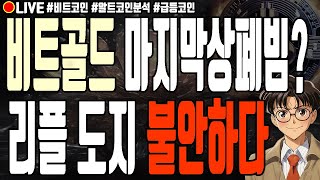 [실시간] 비트코인골드 마지막 상폐빔?! 리플 도지코인 불안하다 어드벤처골드 이더리움 유엑스링크 모카버스 알트코인 폭락 1월 13일 오전 라이브 비트코인 불장