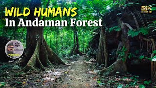 Story about Tribals in Andaman Forest English | Scuba in North bay Island and Limestone Cave