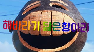 항아리공예 (해바라기는 가라)