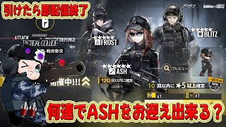 【アークナイツ】復刻レインボーシックス シージコラボ🐮限定キャラASHは何連で出る？【🔴LIVE配信】