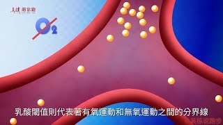 running Lactic acid threshold 吴栋说跑步：84 跑步科普：什么是乳酸阈值